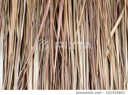 Dry thatch roof texture with brown straw background Dry thatch roof texture with brown straw background 142459801