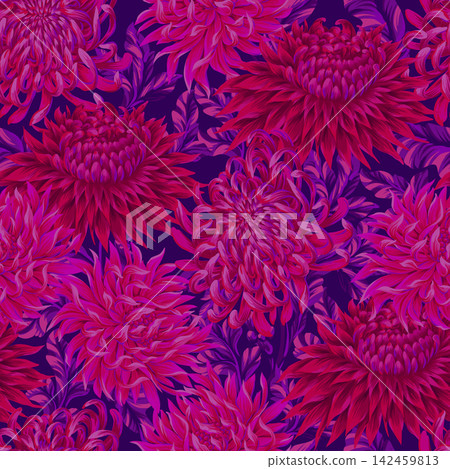 Seamless pattern with chrysanthemums. Vector. Seamless pattern with chrysanthemums. Vector. 142459813