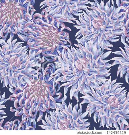 Seamless pattern with chrysanthemums. Vector. 142459819