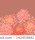 Seamless border with chrysanthemums. Vector. 142459842