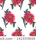 Seamless pattern with chrysanthemums. Vector. 142459848
