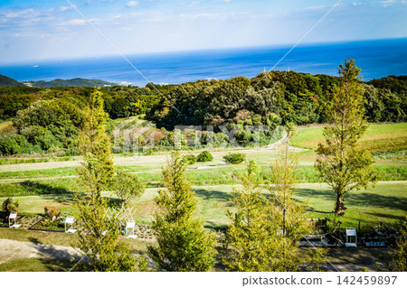 Awaji Island, Awaji Hanasajiki Prefectural Park scenery Awaji Island, Awaji Hanasajiki Prefectural Park scenery 142459897