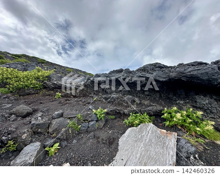 Mount Fuji rock face Mount Fuji rock face 142460326