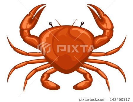 Red steamed crab Red steamed crab 142460517