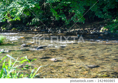 A natural landscape woven from clear streams and lush green trees. A natural landscape woven from clear streams and lush green trees. 142460865
