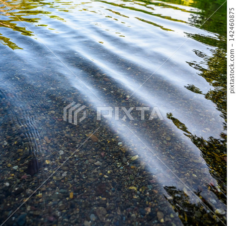 Shadows of trees reflected on the water Shadows of trees reflected on the water 142460875