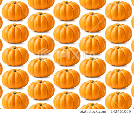 Halloween Background with Many Small Pumpkins on White Background Halloween Background with Many Small Pumpkins on White Background 142461069