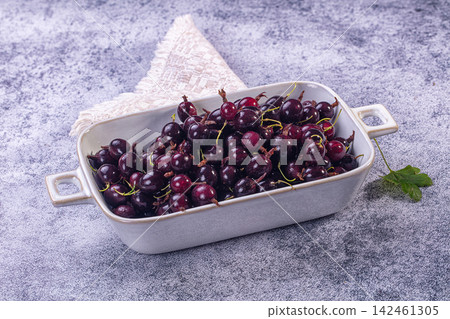 Freshly picked red and purple gooseberries in white ceramic bowl on gray table Freshly picked red and purple gooseberries in white ceramic bowl on gray table 142461305