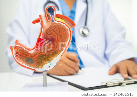 Stomach disease, doctor holding anatomy model for study diagnosis and treatment in hospital. Stomach disease, doctor holding anatomy model for study diagnosis and treatment in hospital. 142461513