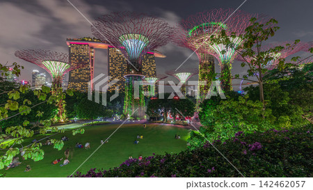 Futuristic aerial view of amazing illumination at Garden by the Bay day to night timelapse in Singapore. 142462057