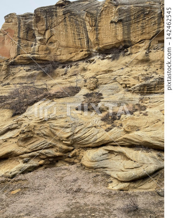 Rocky sandstone cliff with stratified erosion layers and barren vegetation. Rocky sandstone cliff with stratified erosion layers and barren vegetation. 142462545