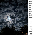 Dramatic night sky with bright moonlight shining through dark clouds above tree silhouettes 142462611
