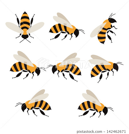 The image shows a set of nine flat-style vector illustrations depicting cartoon honeybees The image shows a set of nine flat-style vector illustrations depicting cartoon honeybees 142462671