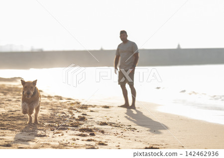 Man walking on sandy beach with dog running towards him, ocean waves gently lapping at the shore under bright sunlight in a coastal setting. Airedale Terrier 142462936