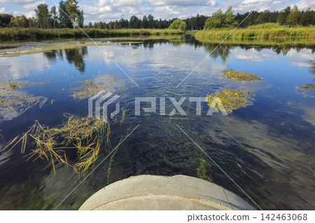 Ecological Status of River Ecosystem with Clear Water Discharging into Natural Habitat Ecological Status of River Ecosystem with Clear Water Discharging into Natural Habitat 142463068