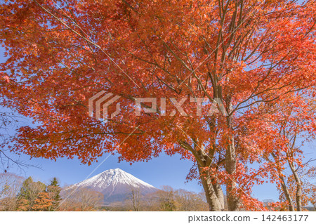 富士山和富士山 富士山和富士山 142463177