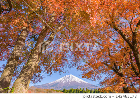富士山和富士山 富士山和富士山 142463178