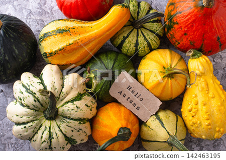 Assortment of different decorative pumpkins Assortment of different decorative pumpkins 142463195