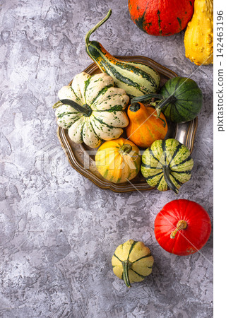 Assortment of different decorative pumpkins Assortment of different decorative pumpkins 142463196