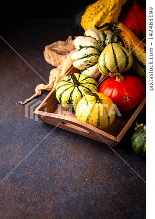 Assortment of different decorative pumpkins Assortment of different decorative pumpkins 142463199