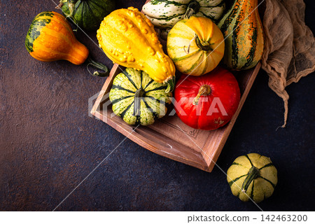 Assortment of different decorative pumpkins Assortment of different decorative pumpkins 142463200