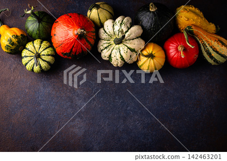 Assortment of different decorative pumpkins Assortment of different decorative pumpkins 142463201