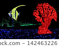  Christmas illumination 142463226
