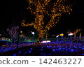  Christmas illumination 142463227