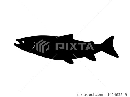 大西洋鮭魚剪影圖標 大西洋鮭魚剪影圖標 142463249