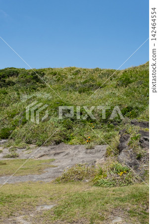 神奈川縣三浦半島城島海灘的夏日海岬景色。 神奈川縣三浦半島城島海灘的夏日海岬景色。 142464554