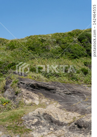 神奈川縣三浦半島城島海灘的夏日海岬景色。 神奈川縣三浦半島城島海灘的夏日海岬景色。 142464555