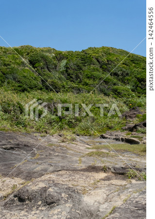 神奈川縣三浦半島城島海灘的夏日海岬景色。 神奈川縣三浦半島城島海灘的夏日海岬景色。 142464556