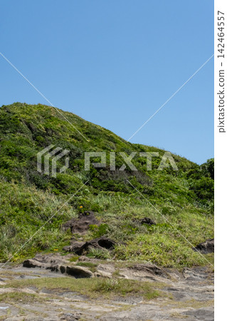 神奈川縣三浦半島城島海灘的夏日海岬景色。 神奈川縣三浦半島城島海灘的夏日海岬景色。 142464557