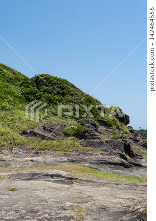 神奈川縣三浦半島城島海灘的夏日海岬景色。 神奈川縣三浦半島城島海灘的夏日海岬景色。 142464558