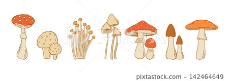 Hand drawn forest poisonous mushroom collection with amanita, spotted toadstool species, enoki and fly agaric species vector illustration Hand drawn forest poisonous mushroom collection with amanita, spotted toadstool species, enoki and fly agaric species vector illustration 142464649