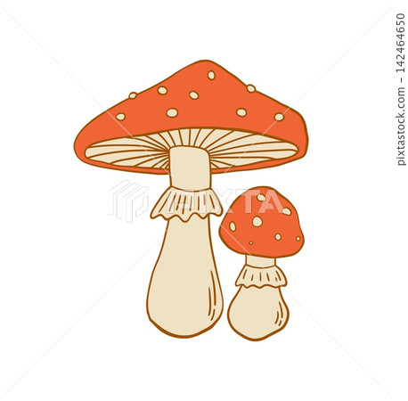 Fly agaric amanita mushroom pair with red spotted cap vector illustration in hand drawn style Fly agaric amanita mushroom pair with red spotted cap vector illustration in hand drawn style 142464650