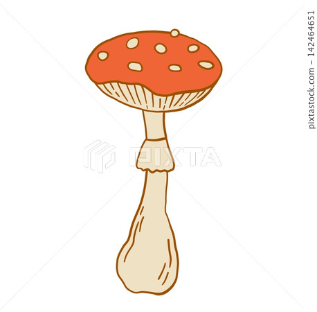 Tall red amanita fly agaric mushroom isolated on white vector illustration in hand drawn style Tall red amanita fly agaric mushroom isolated on white vector illustration in hand drawn style 142464651