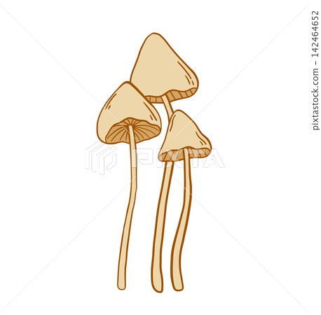 Hand drawn toadstool forest mushroom cluster with conical caps vector illustration. Death cap clipart Hand drawn toadstool forest mushroom cluster with conical caps vector illustration. Death cap clipart 142464652