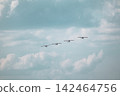Ultralight planes fly in formation at airshow 142464756