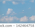 Small ultralight planes fly together in cloudy sky 142464758