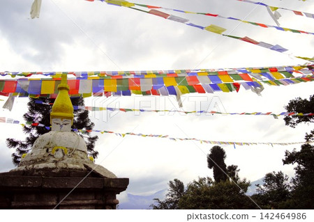五彩繽紛的祈禱旗和白色的佛塔:尼泊爾斯瓦揚布納特寺 五彩繽紛的祈禱旗和白色的佛塔:尼泊爾斯瓦揚布納特寺 142464986