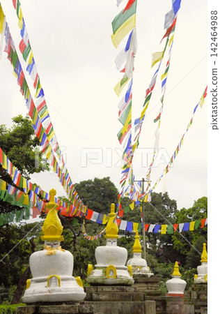 尼泊爾斯瓦揚布納特寺的白色佛塔與祈禱旗 尼泊爾斯瓦揚布納特寺的白色佛塔與祈禱旗 142464988