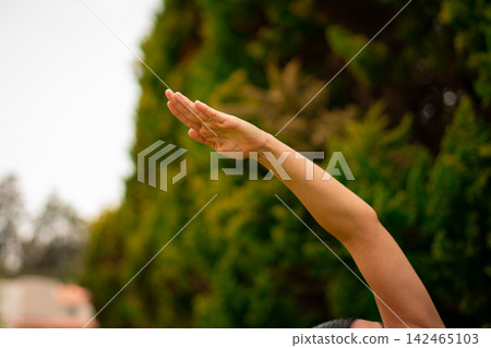 Woman's arm reaching towards green nature outdoors Woman's arm reaching towards green nature outdoors 142465103