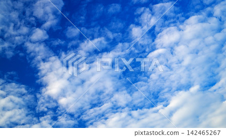 cumulus white clouds scattered across a rich blue sky during bright daylight hours 142465267