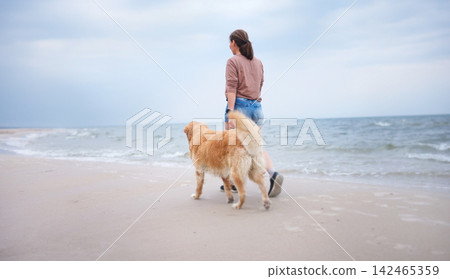 Female Owner On Daily Walk With Adorable Golden Retriever Along Sandy Coastline Female Owner On Daily Walk With Adorable Golden Retriever Along Sandy Coastline 142465359
