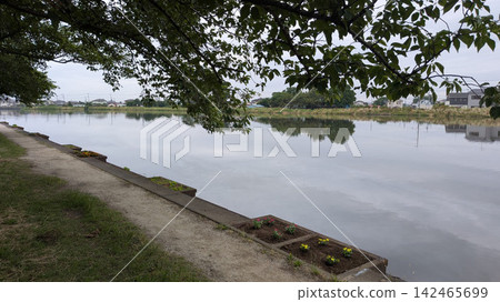Oochiko Tone River Oochiko Tone River 142465699