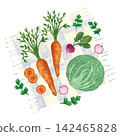 Vegetable composition: carrots, cabbage, radishes on a light checkered tablecloth. In a flat style. Watercolor, pastel. An element for decorating food 142465828