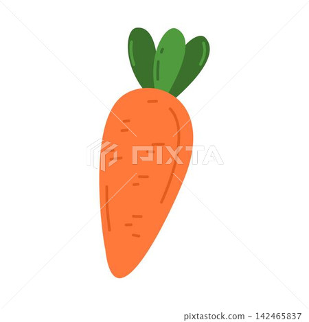 carrot carrot 142465837
