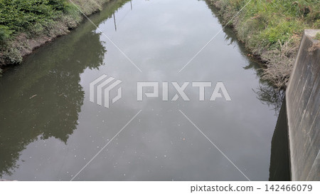 Oochiko Tone River Oochiko Tone River 142466079