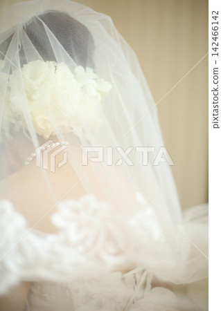A bride's back view wearing a wedding veil | Elegant image suitable for bridal advertising and web design. A bride's back view wearing a wedding veil | Elegant image suitable for bridal advertising and web design. 142466142